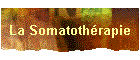 La Somatothrapie