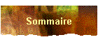 Sommaire