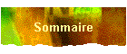 Sommaire